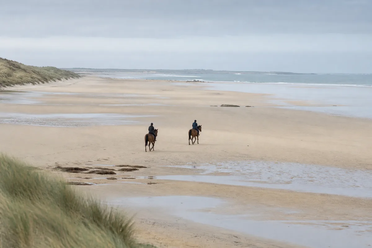 Cavaliers longeant le rivage à marée basse sur une plage de la baie de Douarnenez