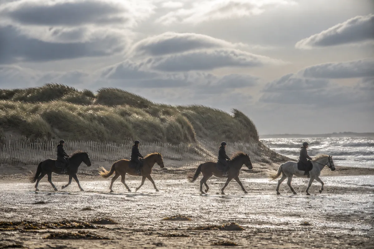 Groupe de cavaliers au trot le long du rivage avec dunes couvertes d’oyats en arrière-plan