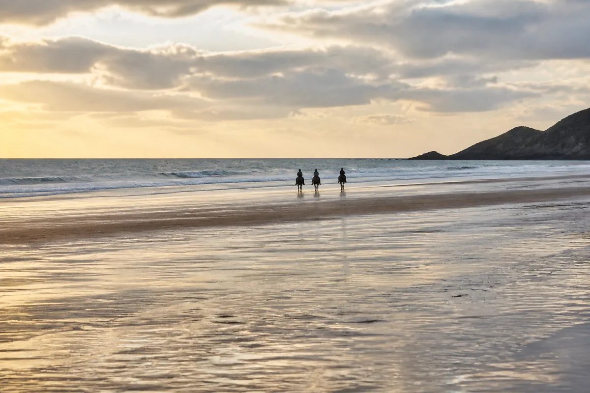Balade à cheval sur la plage en Bretagne : où et quand