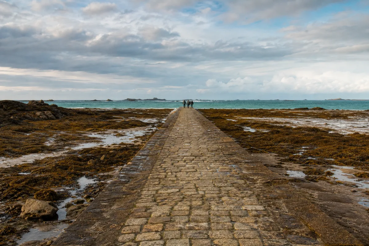 Estacade de pierre s’avançant vers la mer à marée basse, algues et sable découverts au premier plan